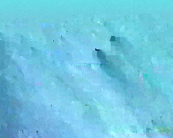 欧冠巅峰对决中门将神扑改写命运的决定性瞬间历史与荣耀之路